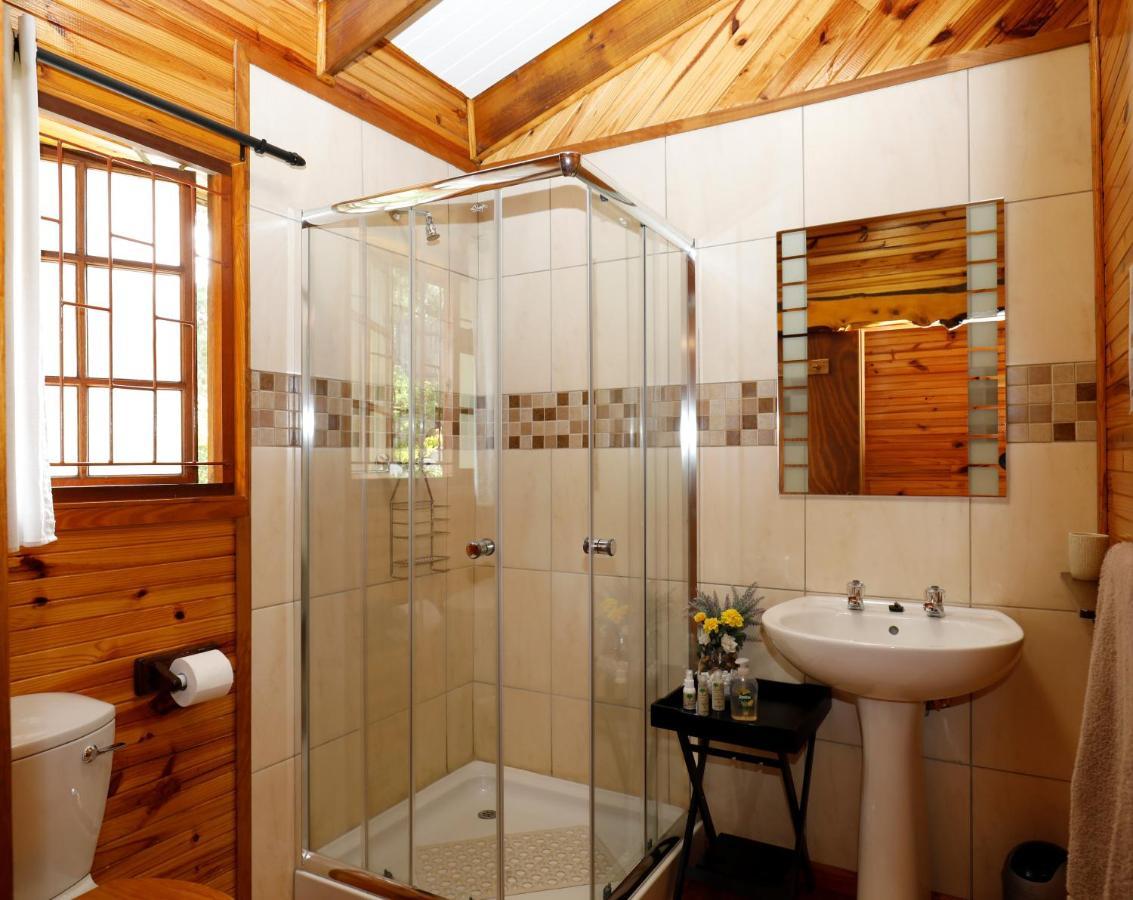 Big Tree House Lodge Knysna Eksteriør bilde
