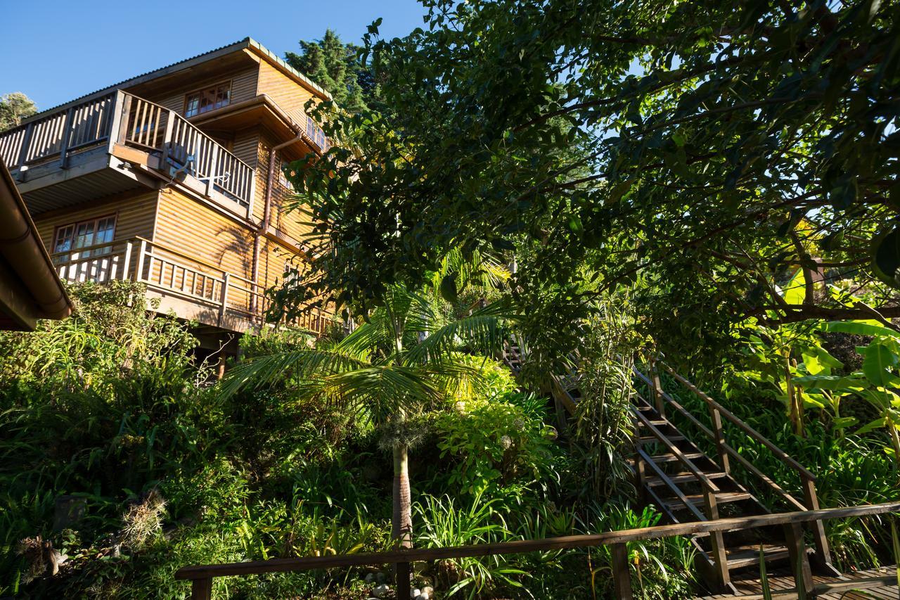 Big Tree House Lodge Knysna Eksteriør bilde