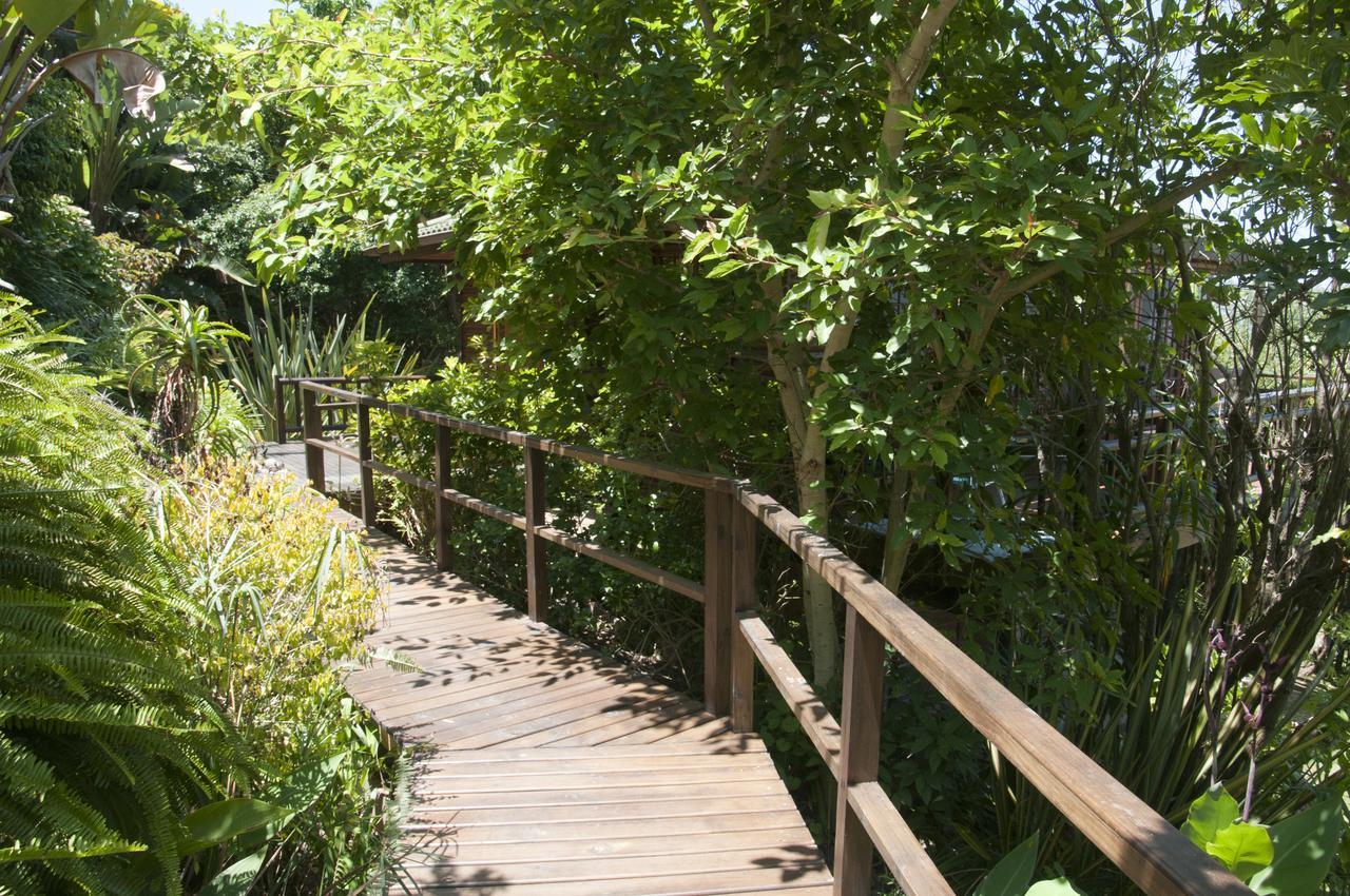 Big Tree House Lodge Knysna Eksteriør bilde