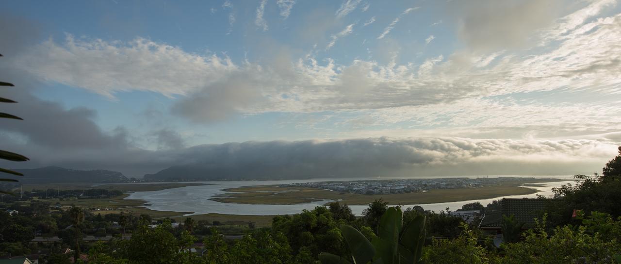 Big Tree House Lodge Knysna Eksteriør bilde