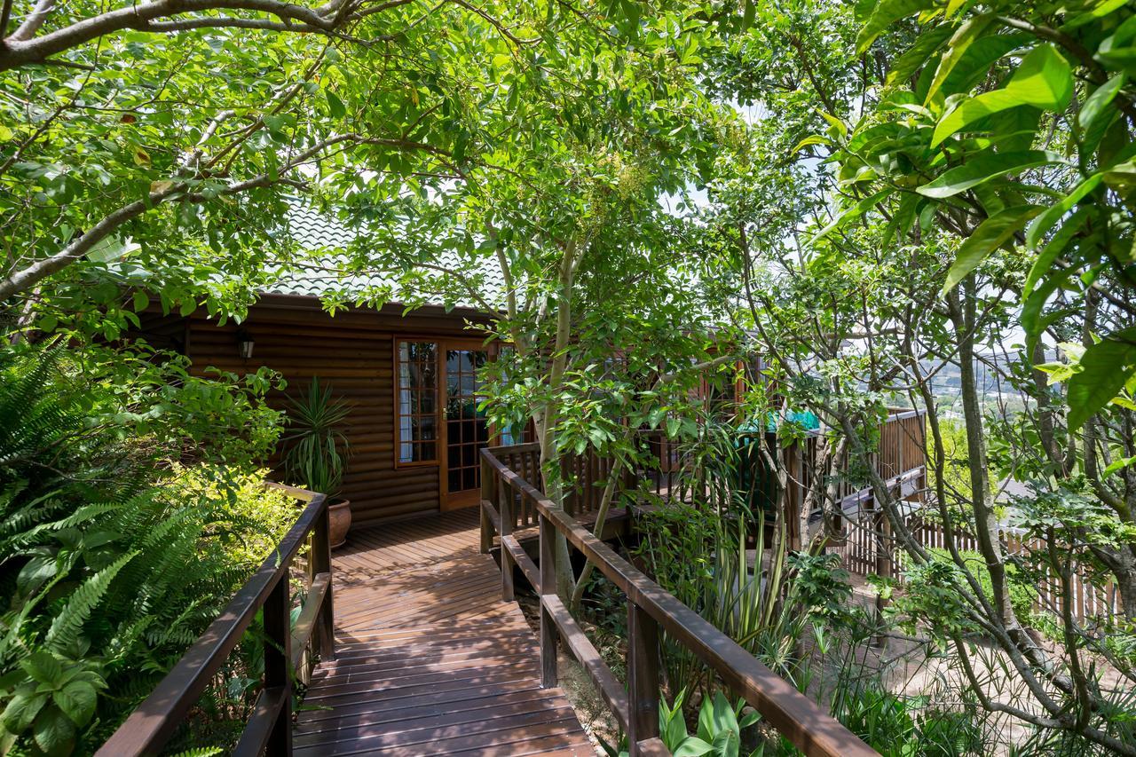 Big Tree House Lodge Knysna Eksteriør bilde