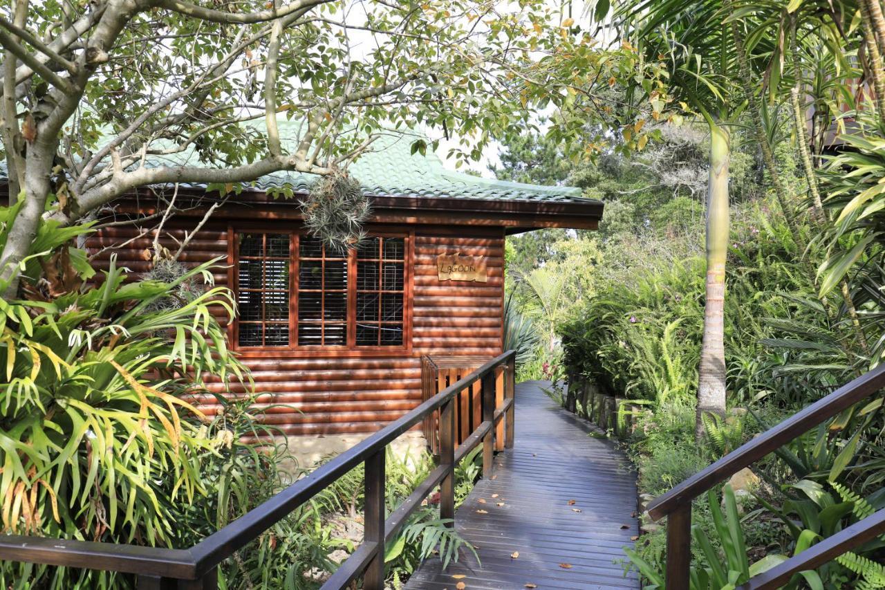Big Tree House Lodge Knysna Eksteriør bilde